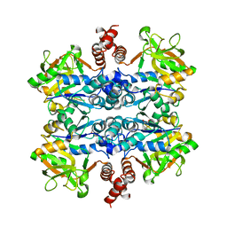 BU of 6mnu by Molmil