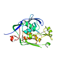 BU of 6mo4 by Molmil