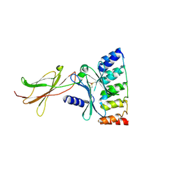 BU of 6mof by Molmil