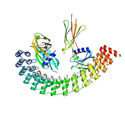 BU of 6mol by Molmil