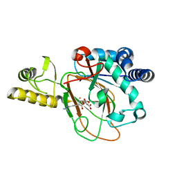 BU of 6mp8 by Molmil