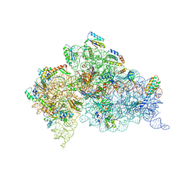 BU of 6mpf by Molmil