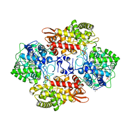 BU of 6mq1 by Molmil