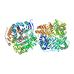 BU of 6mq3 by Molmil