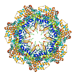 BU of 6mrd by Molmil