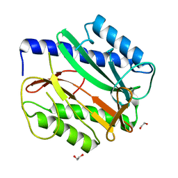 BU of 6mrf by Molmil