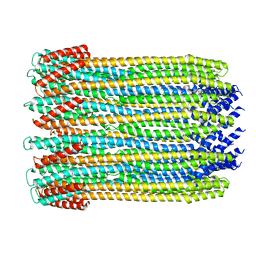 BU of 6mrt by Molmil