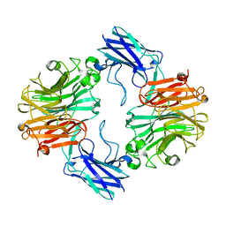 BU of 6mrx by Molmil