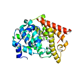 BU of 6msa by Molmil