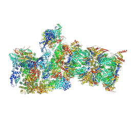 BU of 6msd by Molmil