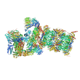 BU of 6mse by Molmil