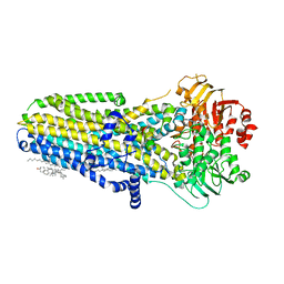 BU of 6msm by Molmil