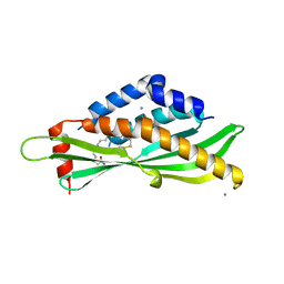 AU of 6msz by Molmil
