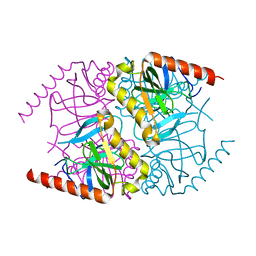 BU of 6mt1 by Molmil