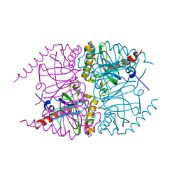 BU of 6mt2 by Molmil