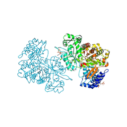 BU of 6mt9 by Molmil