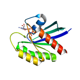 BU of 6mta by Molmil