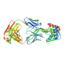 BU of 6mtq by Molmil