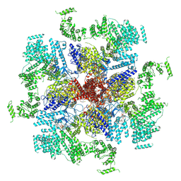 BU of 6mu1 by Molmil