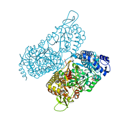 BU of 6mvs by Molmil