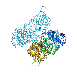 BU of 6mvt by Molmil