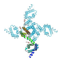 BU of 6mwb by Molmil