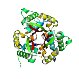 BU of 6mwf by Molmil