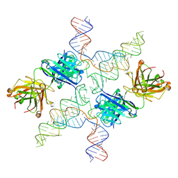 BU of 6mwn by Molmil