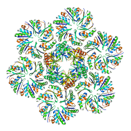 BU of 6mzu by Molmil