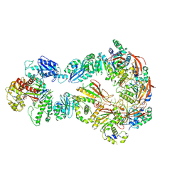 BU of 6n9v by Molmil