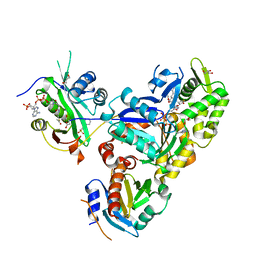 BU of 6nas by Molmil