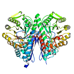 BU of 6nb2 by Molmil