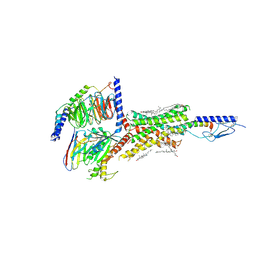 BU of 6nbh by Molmil