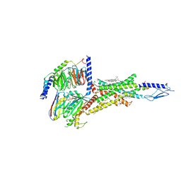 BU of 6nbi by Molmil