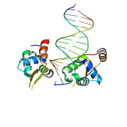 BU of 6ncm by Molmil