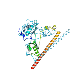 BU of 6ncq by Molmil