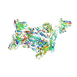 BU of 6nfc by Molmil