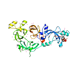 BU of 6nfx by Molmil