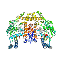 BU of 6ngt by Molmil