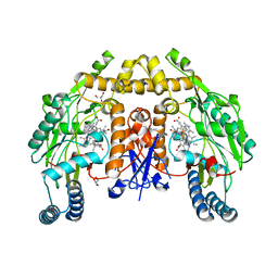 BU of 6ngw by Molmil