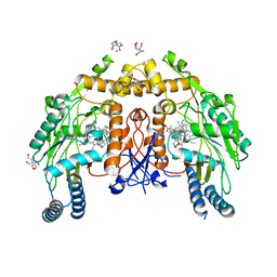 BU of 6nh2 by Molmil