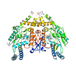 BU of 6nh3 by Molmil