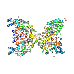 AU of 6nh3 by Molmil