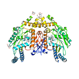 BU of 6nh4 by Molmil