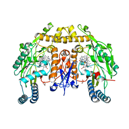 BU of 6nhc by Molmil