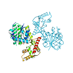 BU of 6nki by Molmil