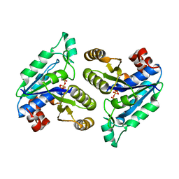 BU of 6nl5 by Molmil