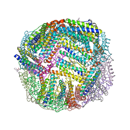 BU of 6nli by Molmil