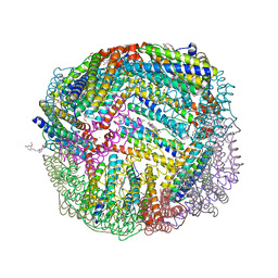 BU of 6nlm by Molmil