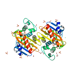 BU of 6nlw by Molmil